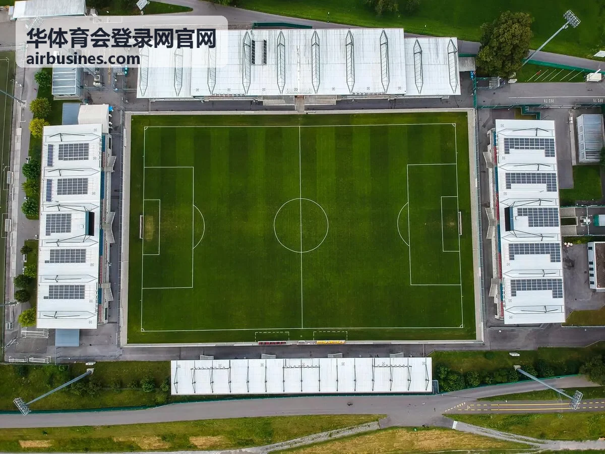华体育会登录网官网亲子趣味接力日活动
